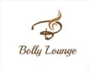 Indcrown Net Embroidered Semi-stitched Lehenga Choli Material